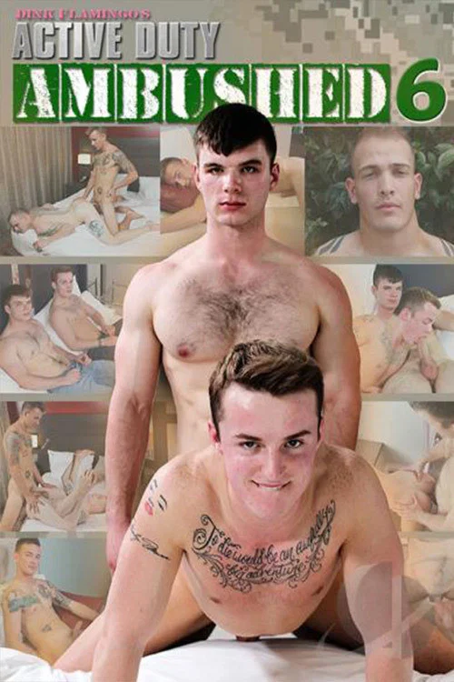 Movie poster for Ambushed 6 (2016)