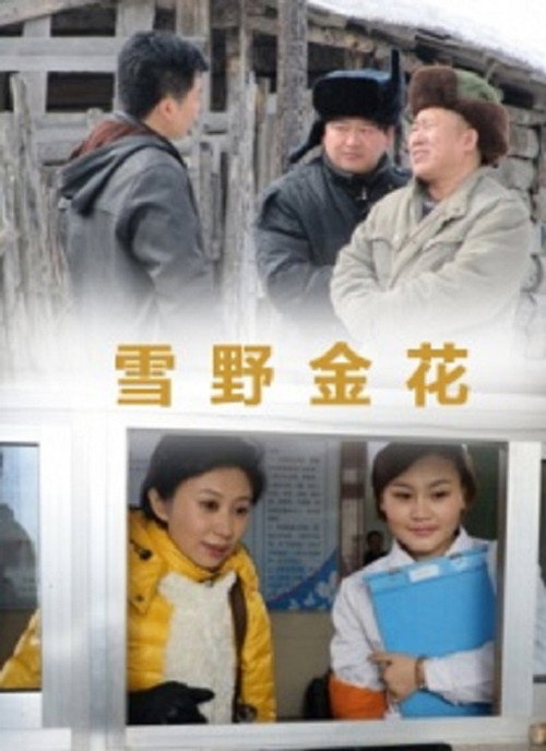 Movie poster for 雪野金花 (2013)