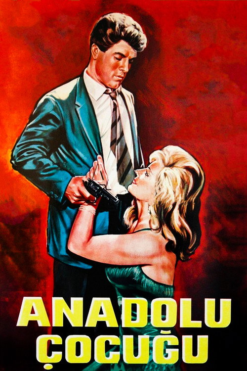Movie poster for Anadolu Çocuğu (1964)