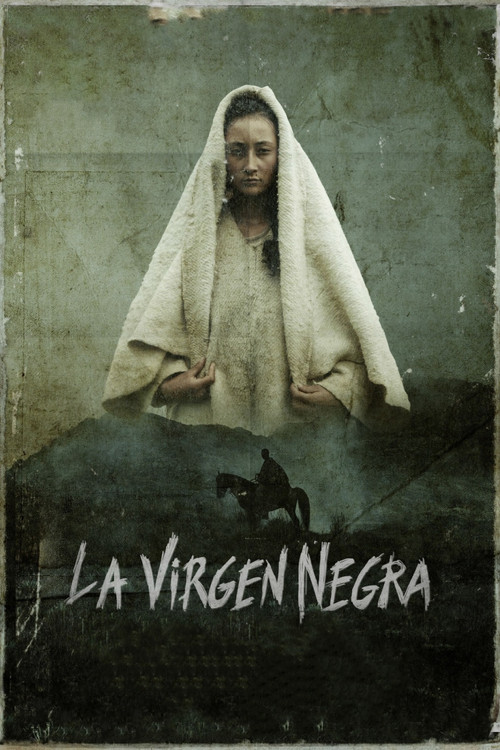 Movie poster for The Black Virgin (2018)