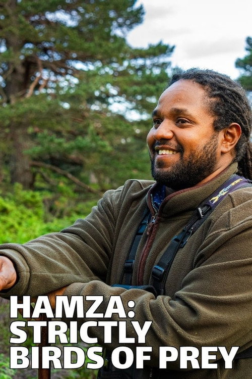 Movie poster for Hamza: Strictly Birds of Prey (2023)