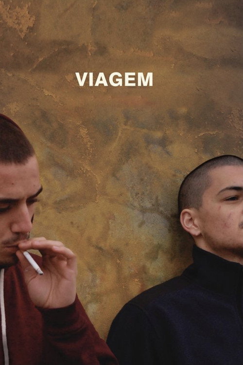 Movie poster for Viagem (2014)