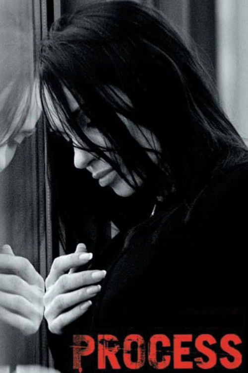 Movie poster for Process (2004)