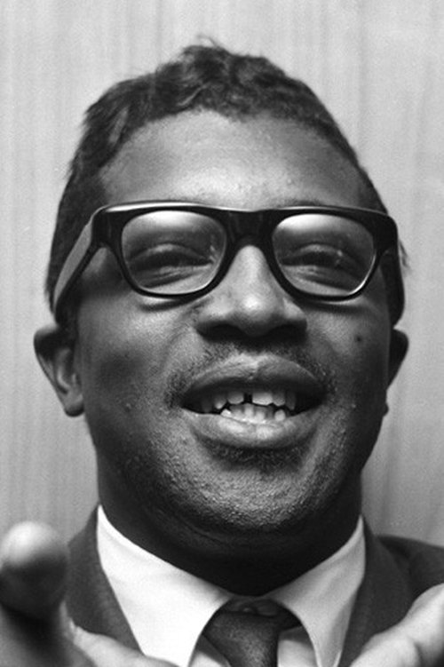 Bo Diddley profile