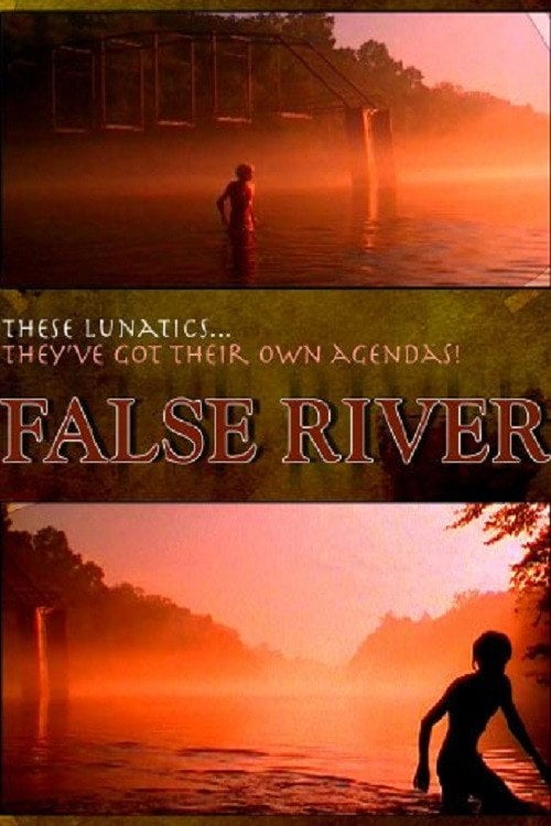 Movie poster for False River (2005)