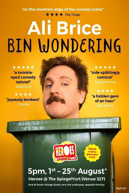Movie poster for Ali Brice - Bin Wondering (2020)