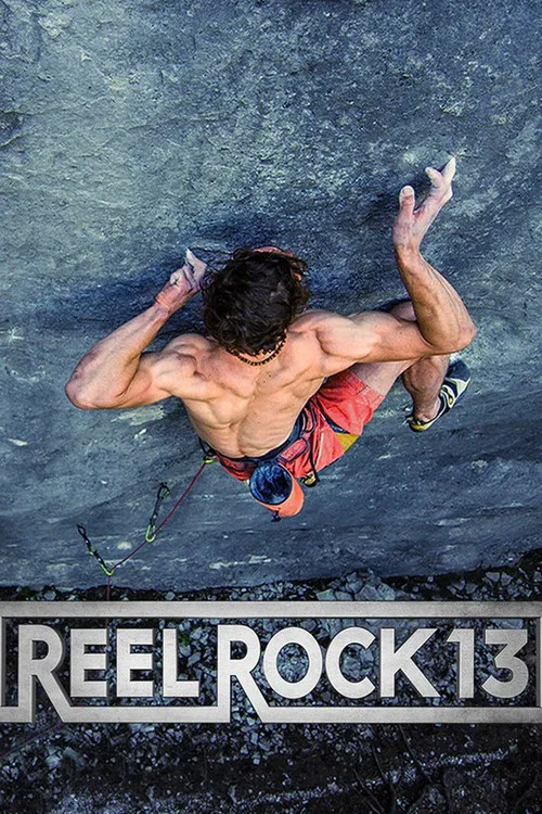 Movie poster for DISBELIEF