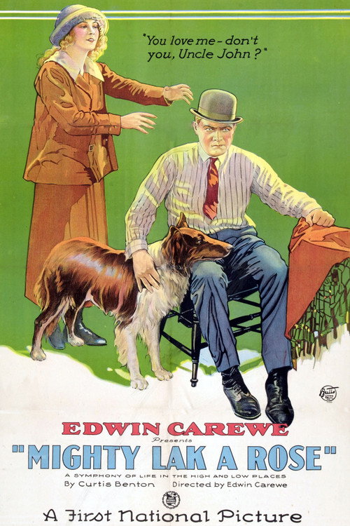 Movie poster for Mighty Lak' a Rose (1923)