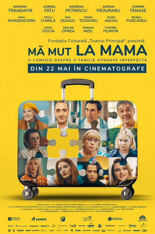 Movie poster for I'm Moving in with Mom