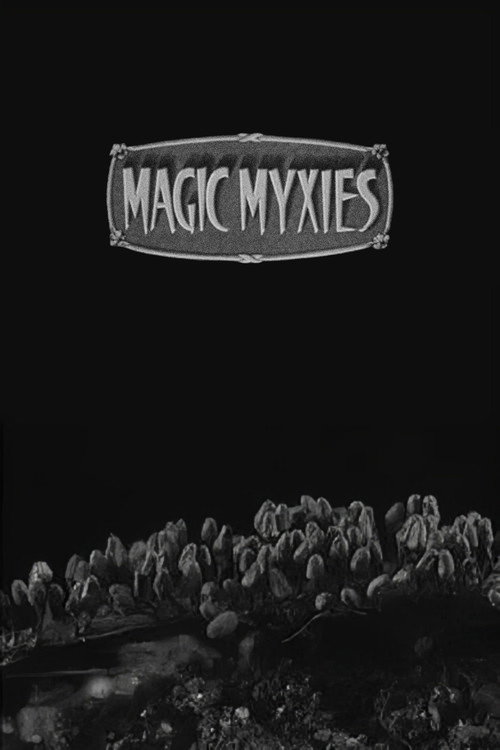 Movie poster for Magic Myxies (1931)
