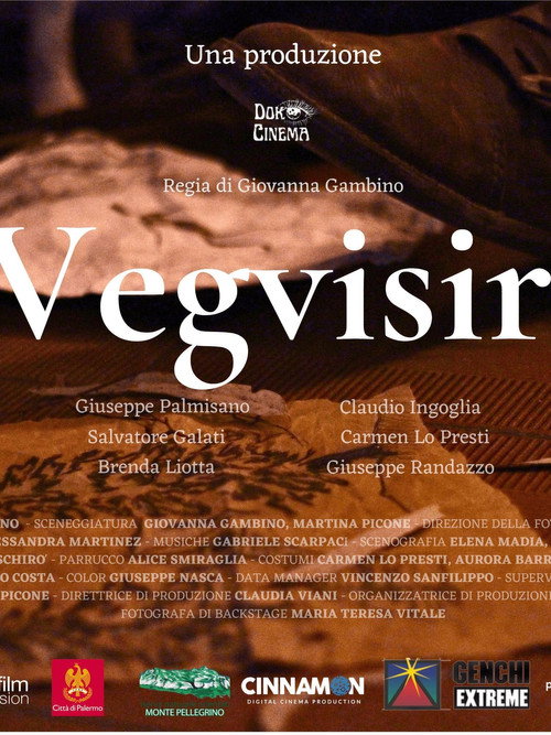 Movie poster for Vegvisir (2024)