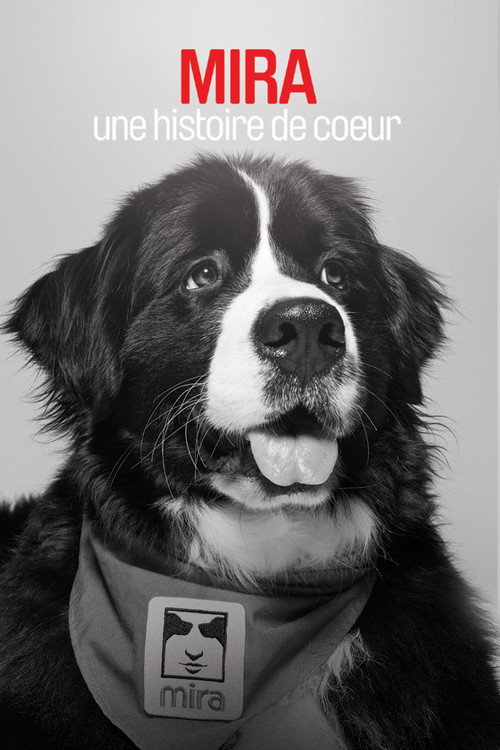 Movie poster for Mira, une histoire de cœur (2016)