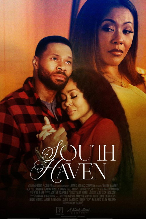 Movie poster for South Haven (2025)