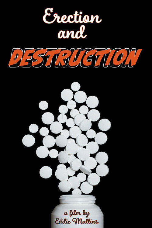 Movie poster for Erection and Destruction (2024)