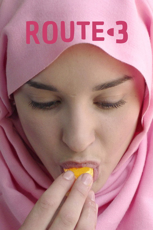 Movie poster for Route-3 (2019)