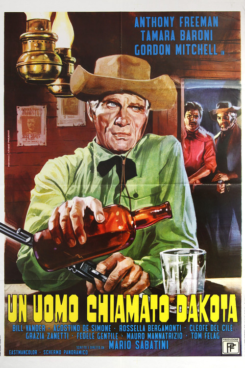 Movie poster for A Gunman Called Dakota (1972)
