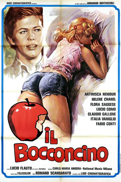 Movie poster for The Titbit (1976)