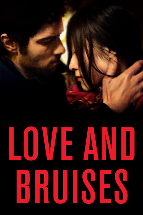 Movie poster for Love and Bruises (2011)