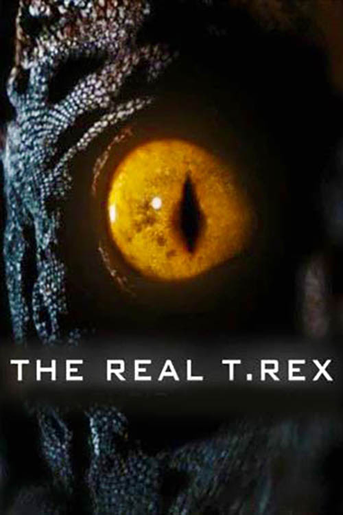 Movie poster for The Real T Rex with Chris Packham (2018)