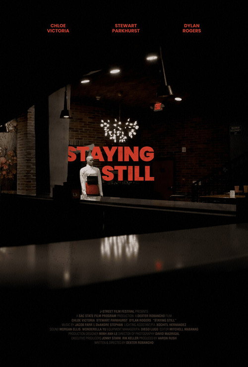 Movie poster for Staying Still (2025)