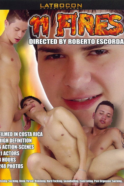 Movie poster for 11 Fires (2011)