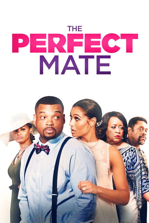 Movie poster for The Perfect Mate (2020)