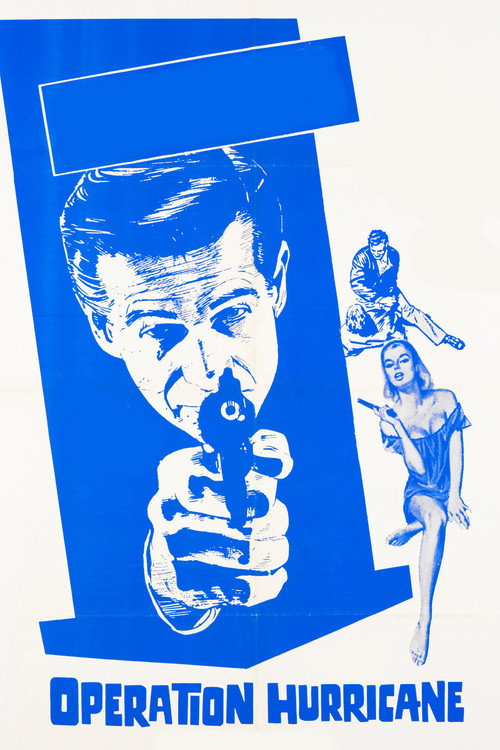 Movie poster for The Violin Case Murders (1965)