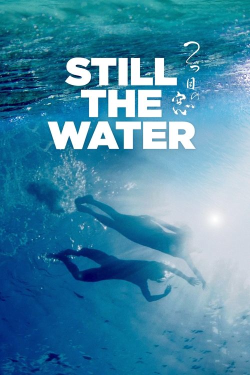 Movie poster for Still the Water (2014)