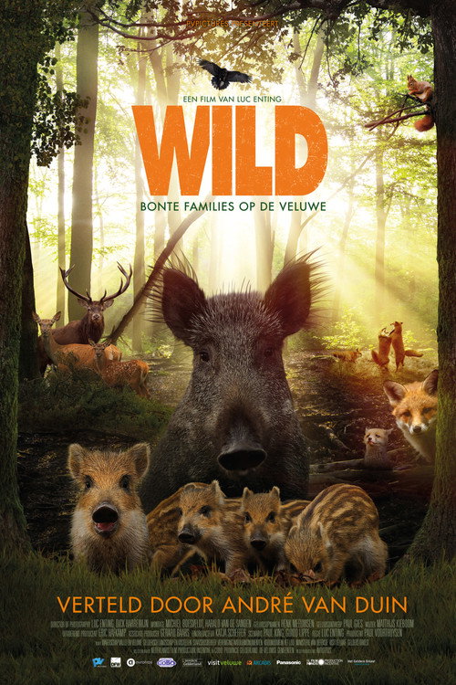 Movie poster for Wild (2018)