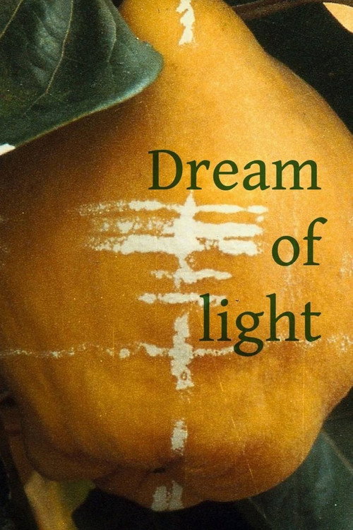 Movie poster for Dream of Light (1992)