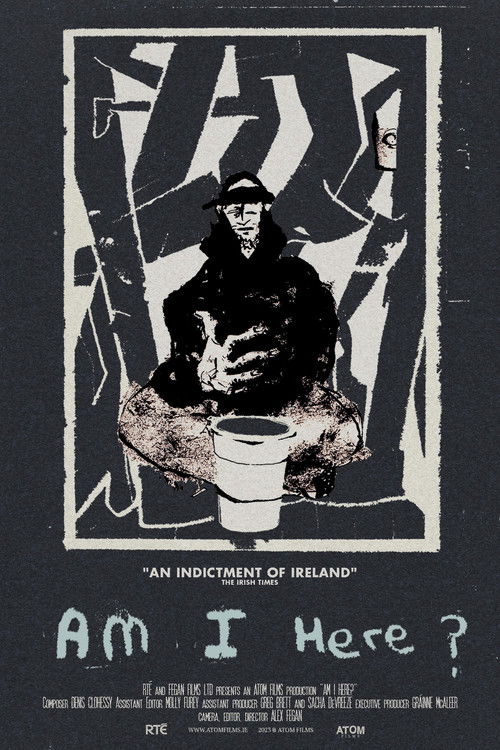 Am I Here? Homeless in Ireland poster