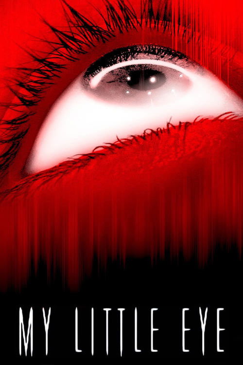 Movie poster for My Little Eye (2002)