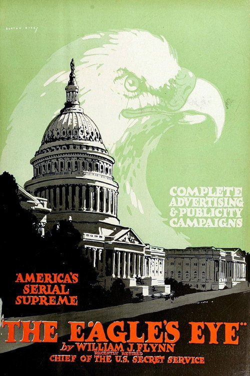Movie poster for The Eagle's Eye (1918)