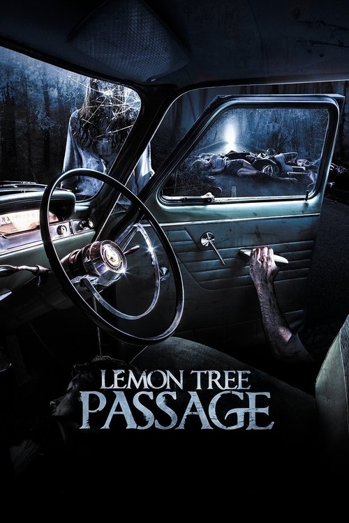Movie poster for Lemon Tree Passage (2014)