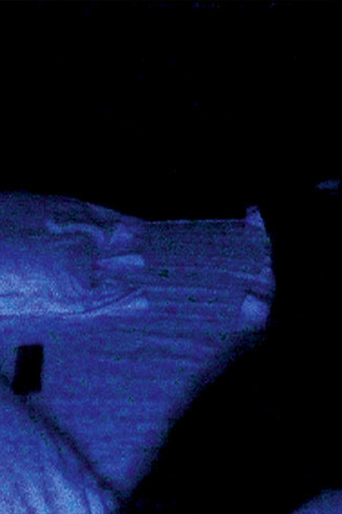 Movie poster for Illuminer (2001)