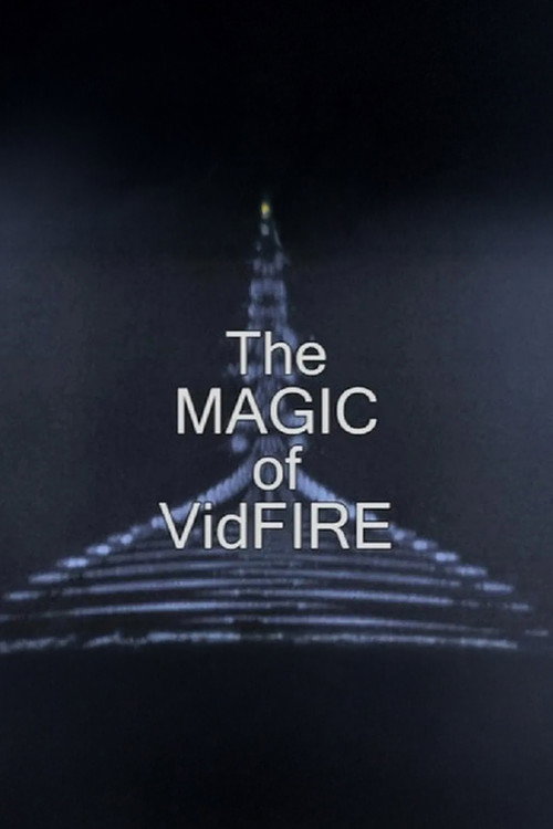 Movie poster for The Magic of VidFIRE (2012)
