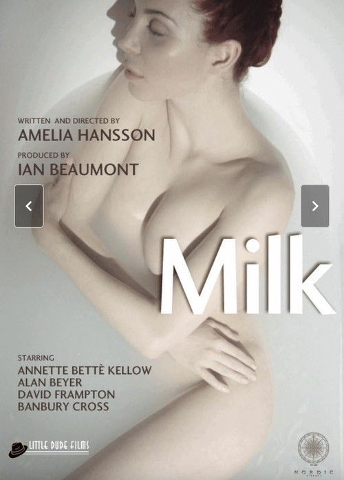 Movie poster for Milk