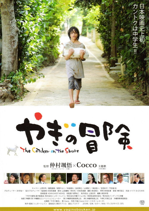 Movie poster for The Catcher On The Shore (2010)