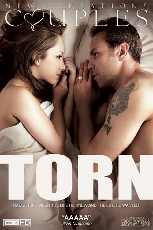 Movie poster for Torn (2012)