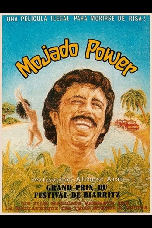 Movie poster for Mojado Power (1981)