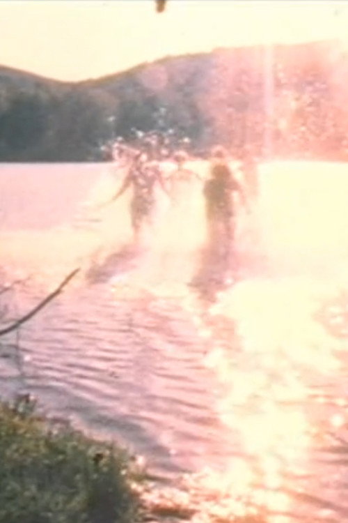 Movie poster for Water Light/Water Needle (Lake Mah Wah, NJ) (1966)