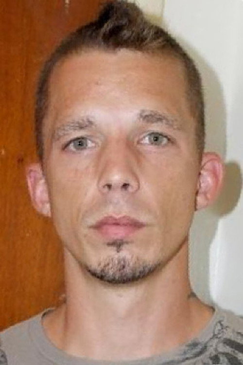 Photo of Blake Dee, Acting