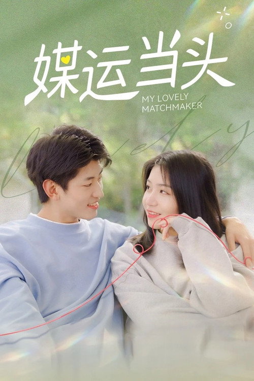 My Lovely Matchmaker poster