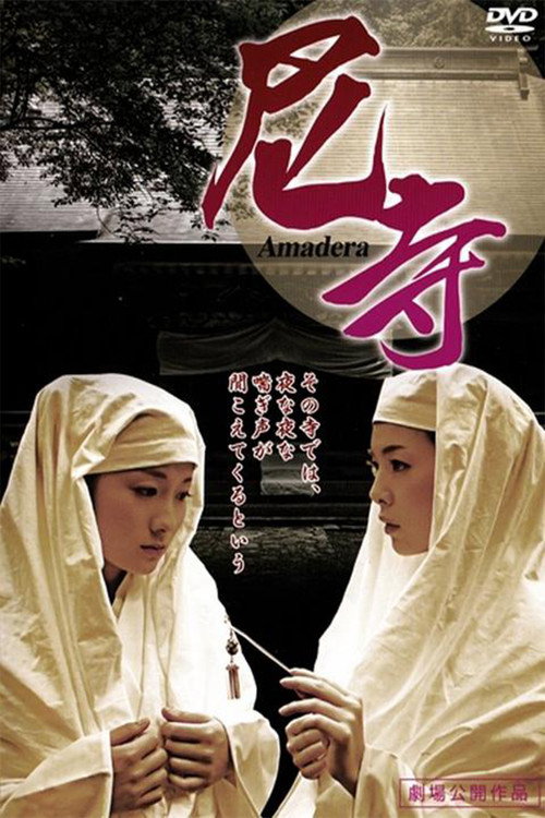 Movie poster for Amadera 〜 Kan'in shimai 〜 (2013)