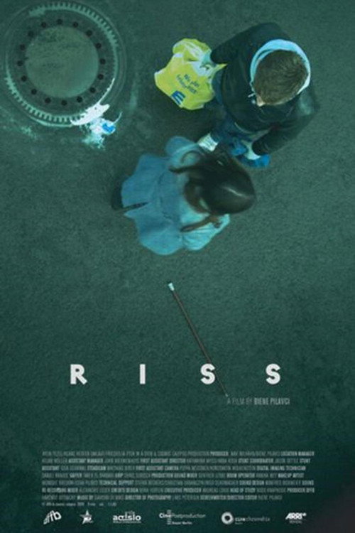 Movie poster for Riss (2010)