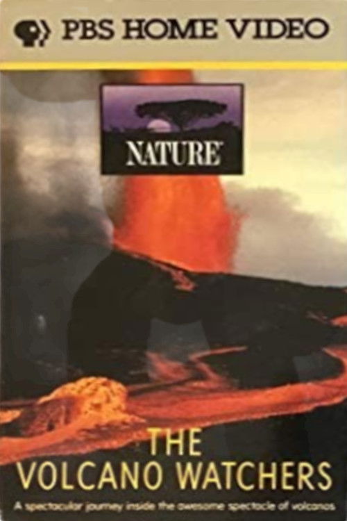 Movie poster for The Volcano Watchers (1987)
