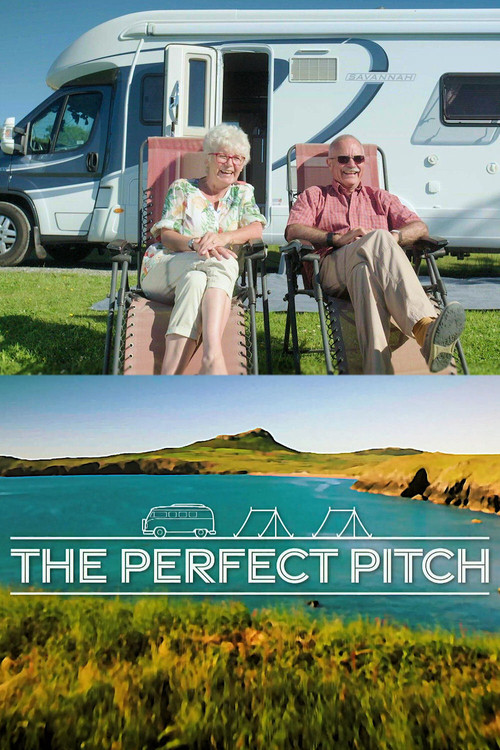 The Perfect Pitch poster