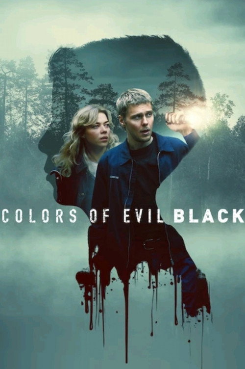 Movie poster for Colors of Evil: Black (2026)