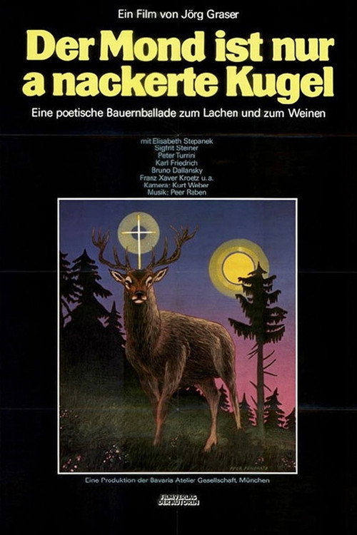 Movie poster for Der Mond is nur a nackerte Kugel (1981)