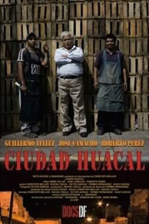 Movie poster for Huacal City (2008)